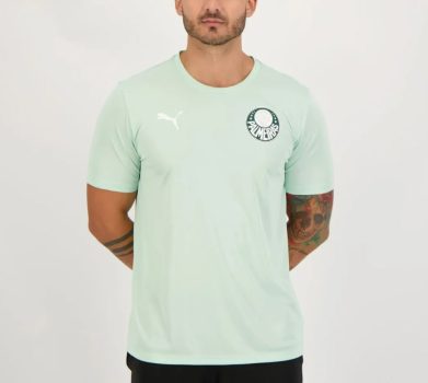 Camiseta do Palmeiras Goal Puma - Masculina