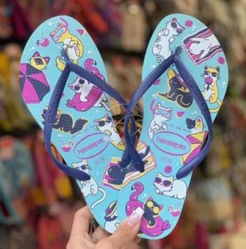 Chinelo Havaianas