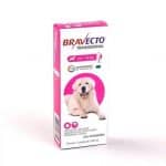 Bravecto Transdermal Cães, 40 até 56kg, 1400mg Bravecto para Cães, 40 até 56kg