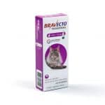 Bravecto Transdermal Gatos, 6,25 até 12,5kg, 500mg Bravecto para Gatos, 6,25 até 12,5kg