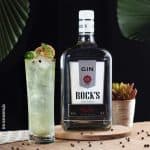 Gin Rocks 995ml