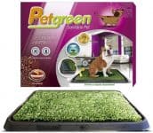 Sanitário para Cães Petgreen Furacão Pet