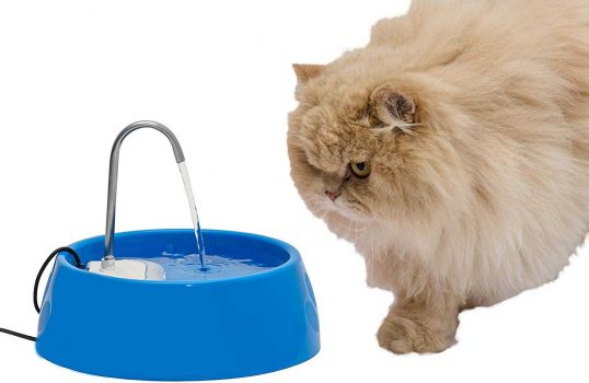 Fonte para Gatos Aqua Mini Bivolt Amicus
