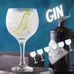 Conjunto de Taças 570ml Gin Tônica Bohemia 6 peças Nadir