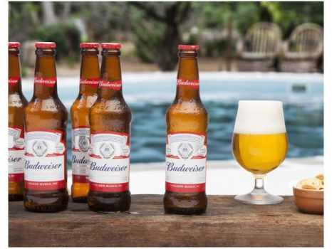 Cerveja Budweiser Lager 6 Unidades - 330ml