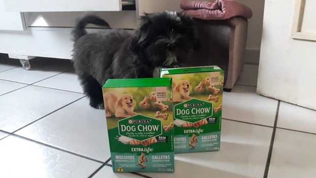 NESTLÉ PURINA DOG CHOW Biscoitos para Cães Filhotes Frango e Leite 300g