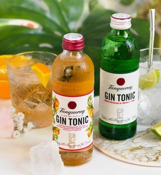 Gin Tônica Tanqueray London Dry e Sevilla & Tonic 275ml