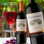 Vinho Concha y Toro Carmenere 750 Ml