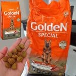 Ração Golden Special Sabor Frango e Carne para Cães Adultos, 15kg Premier Pet Para Todas Grande Adulto,