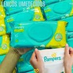 Lenços Umedecidos Pampers Aroma De Camomila 48 Unidades