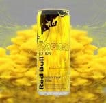 Energético Red Bull Energy Drink, Tropical, 250ml