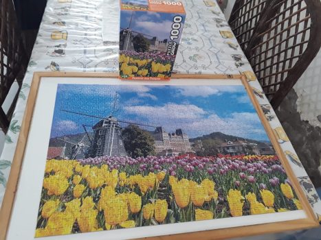 Quebra-cabeças Grow 1000 peças: Festival das Tulipas (exclusivo Amazon), Multicor