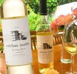 Vinho Branco Esteban Martín D.O.P. Cariñena Chardonnay Macabeo Blanco 750 ml Bodegas Esteban Martin Chardonnay