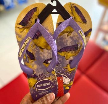 Chinelo Havaianas Conservação Internacional