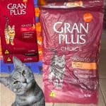 GRANPLUS CHOICE GATO ADULTO FRANGO CARNE - 10,1kg