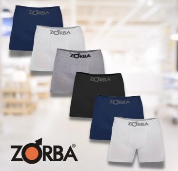 Kit 6 Cuecas Boxer Algodão Masculino Box Sem Costura Zorba