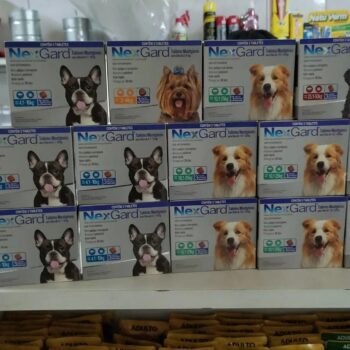 Ofertas em ANTIPULGAS e CARRAPATOS NexGard para cães
