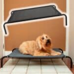 Cama de Cachorro Suspensa Cinza - Basic+