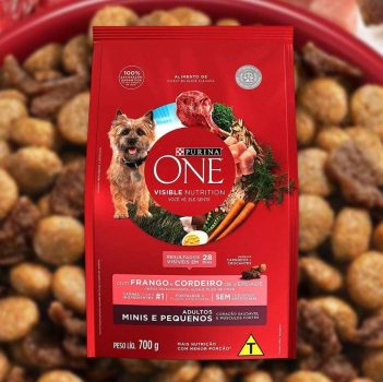 NESTLÉ PURINA ONE Ração Seca para cães adultos Minis e Pequenos Frango e Cordeiro 700g