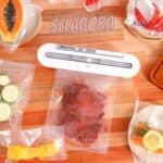 Seladora Eletrica A Vacuo Fun Kitchen