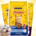 Purina Friskies Friskies Peixes E Frutos Do Mar 10 1Kgbr