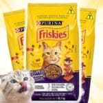 Purina Friskies, Friskies Megamix - Ração Gatos Adultos,10.1Kg