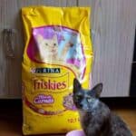 Ração Gatos Adultos Friskies Megamix 10,1kg