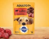 Ração Úmida Para Cachorros Pedigree Sachê Carne ao Molho Adultos Sênior 7+ Anos 100g