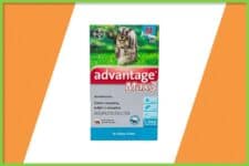 Antipulgas Advantage Max3 Bayer para Cães de 4kg até 10kg - 1 Bisnaga de 1ml