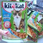 Ração Úmida Kitekat Sachê Peixe para Gatos Adultos 70 Tamanho G Kitekat Raça Adulto, Sabor Frutos do Mar 70 G