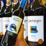 Vinho Gato Negro Merlot 750Ml