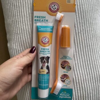 Kit de higiene oral para cães Arm & Hammer