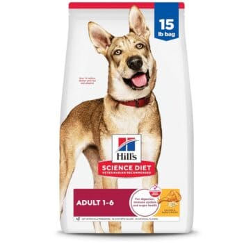 Ração Hill's Science Diet para Cães Adultos sabor frango - 6.8kg
