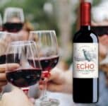 Vinho Chileno Echo Classic Cabernet Sauvignon