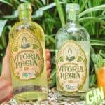 Gin Orgânico Citrus Vitória Régia 750ml