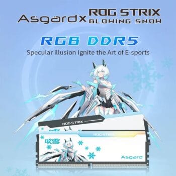 Memória RAM Asgard ROG Strix DDR5 32GB (2x16GB) 6800Mhz