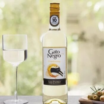 VINHO BRANCO GATO NEGRO CHARDONNAY 750 ML Gato Negro Chardonnay