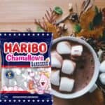 Marshmallow Chamallows Barbecue Baunilha