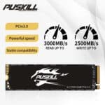 SSD PUSKILL M2 NVME