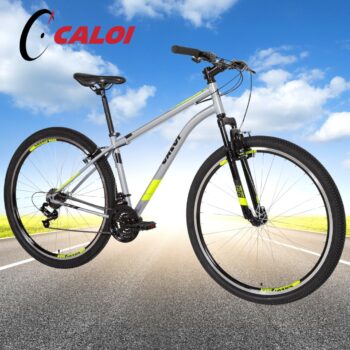 BICICLETA CALOI TWO NINER T17R29V21 ALUMINIO