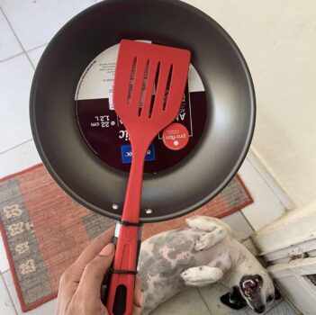 Frigideira com Espátula, Garlic, 22 cm, Vermelho, Brinox