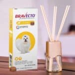 Bravecto Antipulgas e Carrapatos 2 a 4,5kg + Difusor Coala 100ml