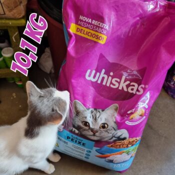 whiskas Ração Whiskas Para Gatos Adultos Castrados Sabor Carne - 10 1Kg