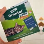 Vermífugo Drontal SpotOn para Gatos de 2,5 Kg a 5 Kg – 1 Bisnaga