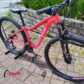 Bicicleta Caloi Evora TP CALOI EVORA TP A22 Vermelho - (R29V24)
