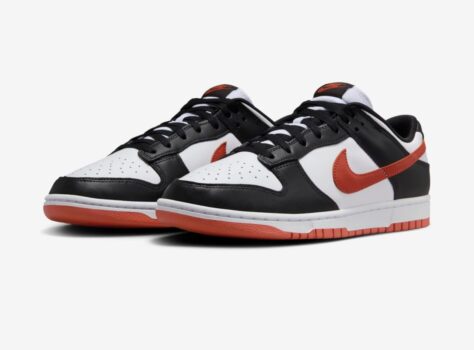Tênis Nike Dunk Low Retro Masculino