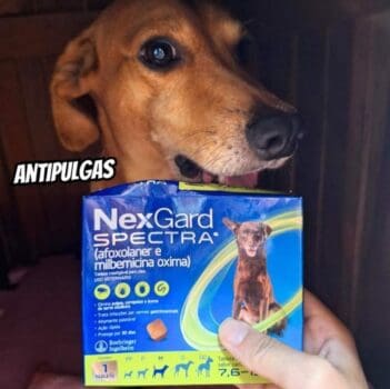 NexGard Spectra Antipulgas e Carrapatos e Vermífugo para Cães de 7,6 a 15kg - 1 tablete