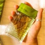 Arbo Forest Deo Colônia Masculino Boticário 100ml