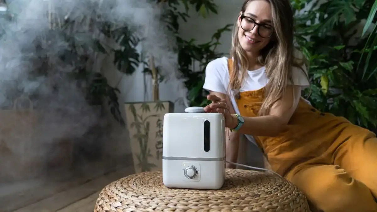 Top 5 Umidificadores de Ar Baratos e Eficientes que Estão em Alta em 2025 Top 5 Umidificadores de Ar Baratos e Eficientes que Estão em Alta em 2025