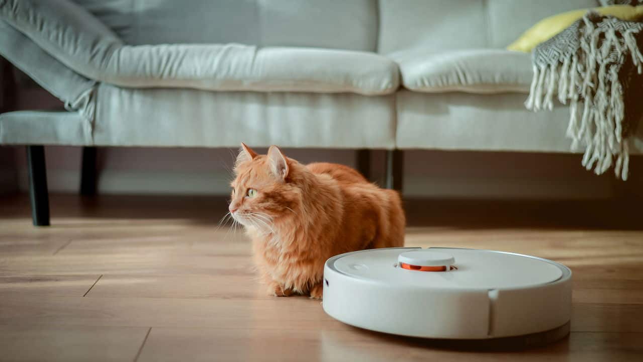 Os 5 Robôs Aspiradores Mais Eficientes de 2025 que Estão Facilitando a Limpeza Doméstica Os 5 Robôs Aspiradores Mais Eficientes de 2025 que Estão Facilitando a Limpeza Doméstica